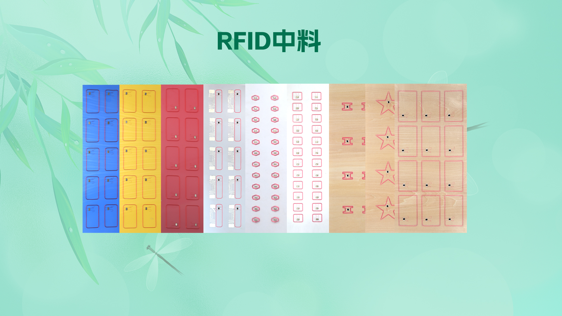 微信圖片_20250821104417